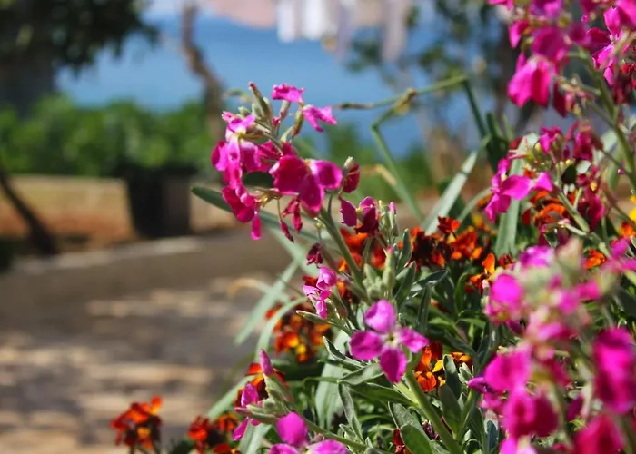 By The Sea Kanica, Rogoznica - 1119